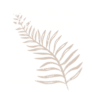 RoRo Soap Company